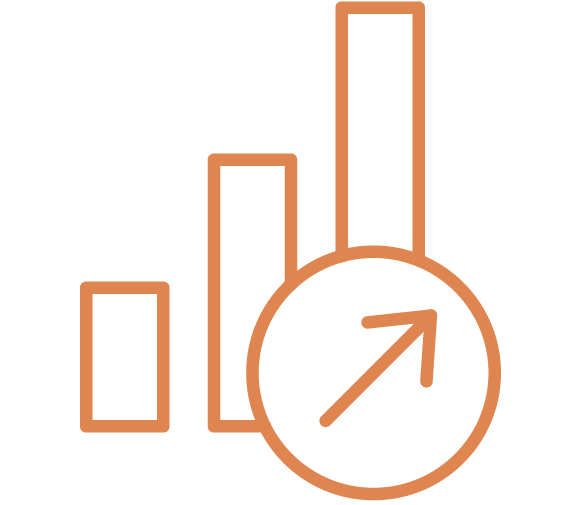 DATA ICON ORANGE